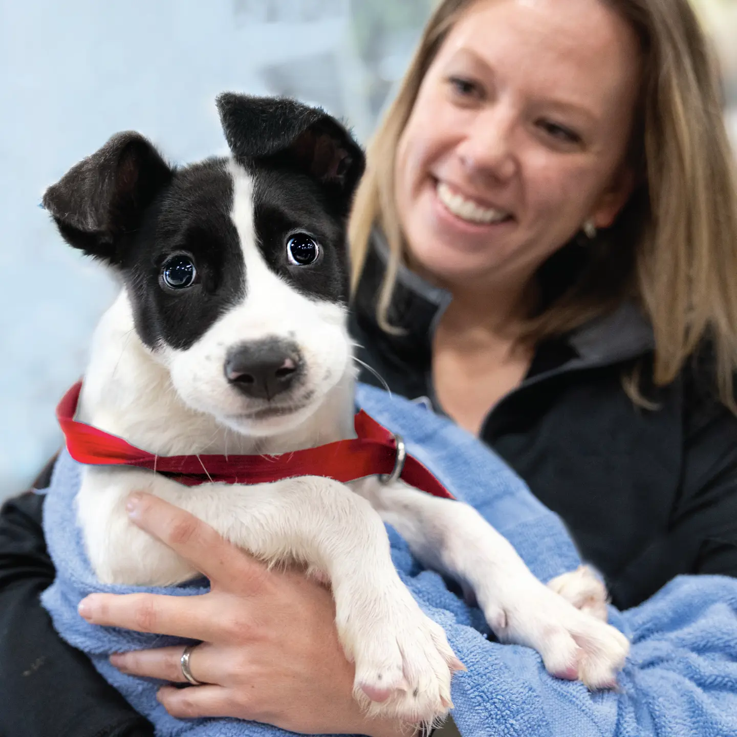A blonde woman smiles at a puppy she's holding in a towel in her arms